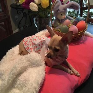 Meet your Posher, Kathleen